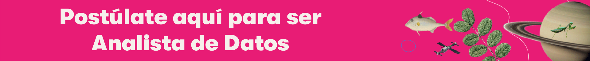 Analista de datos 9