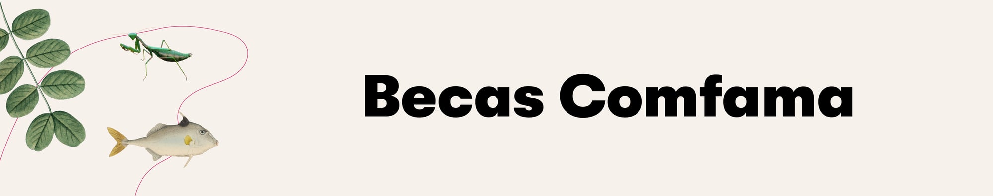 Banners Familias-21