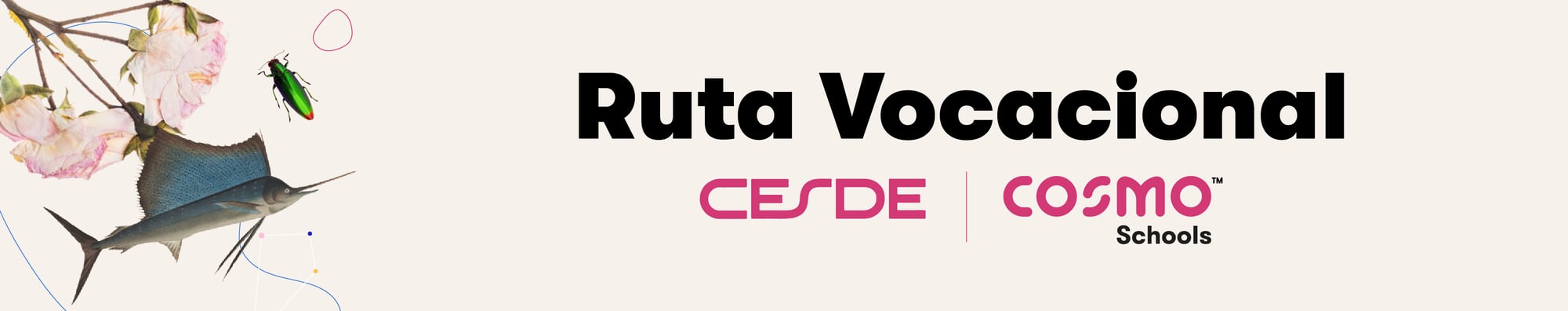 Banners Familias-24