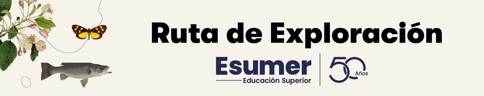 Banners Familias-25 Banners Familias-25