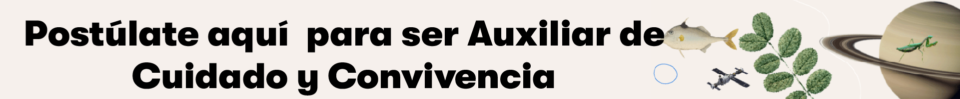 Cuidado y convivencia 8