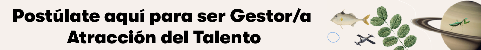 GESTOR ATRACCIÓN DE TALENTO