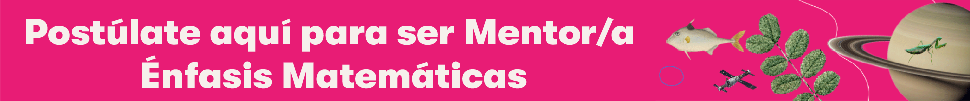 MENTOR ENFASIS MATEMATICAS