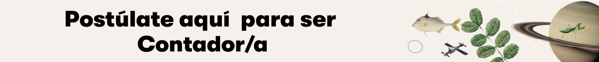 contador