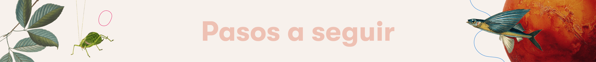 somos cosmo-07