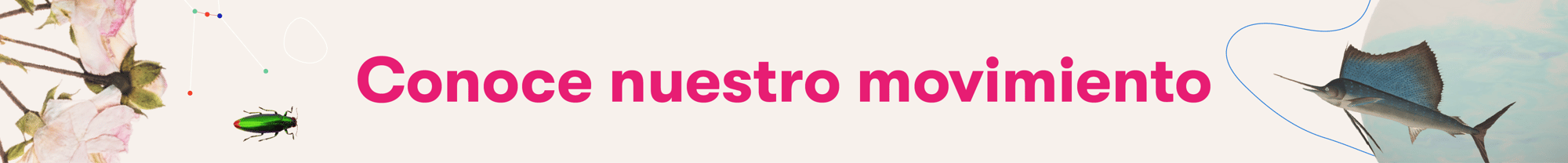 somos cosmo-08